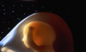 Lenkijoje rekordiškai padaugėjo legalių abortų