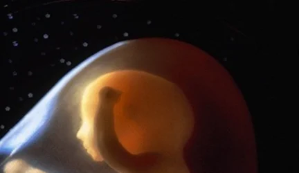 Lenkijoje rekordiškai padaugėjo legalių abortų