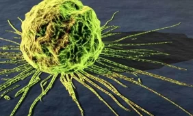 Diegiama novatoriška navikinių audinių tyrimo technologija