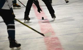 Gripas įsisuka ir į ledo ritulininkų gretas