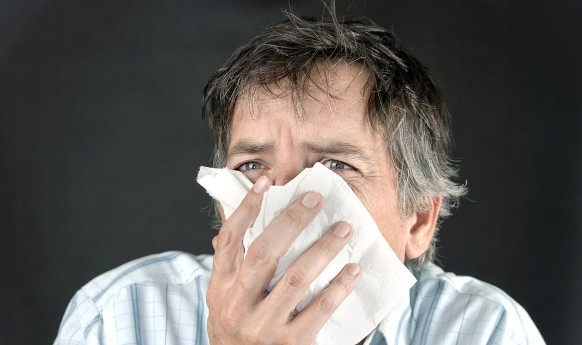 Paragino neskleisti panikos dėl gripo