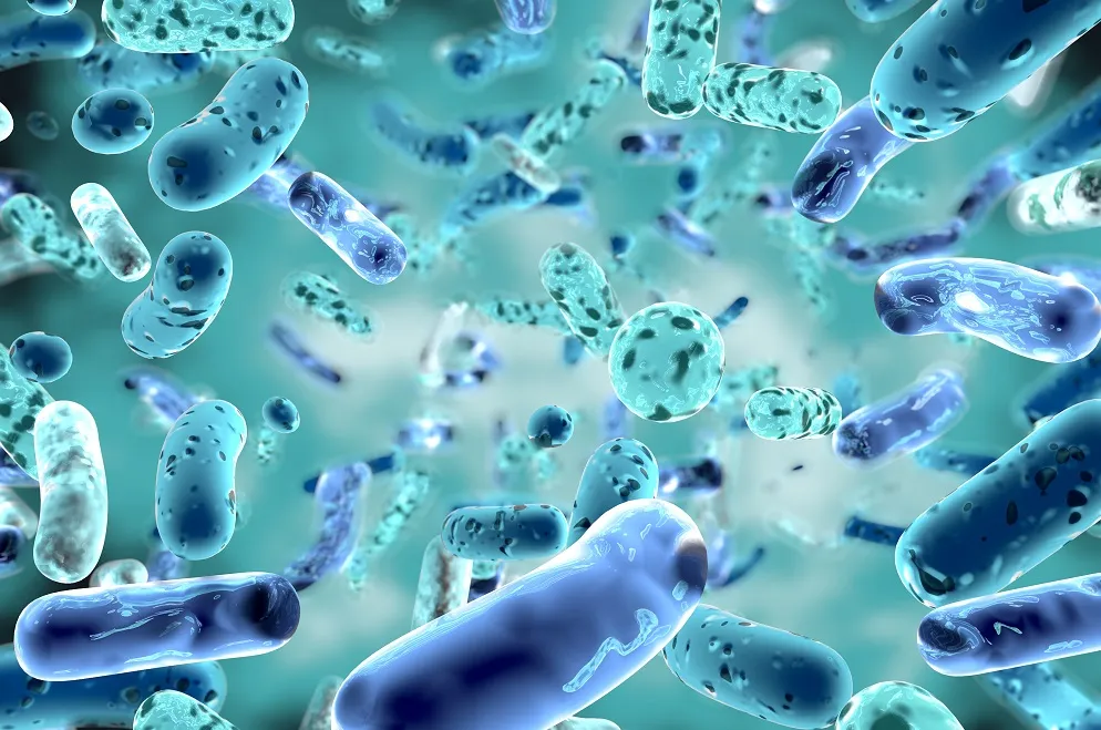 Kas yra gerosios bakterijos?
