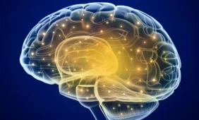 Išsiaiškino, kaip smegenyse saugomi prisiminimai