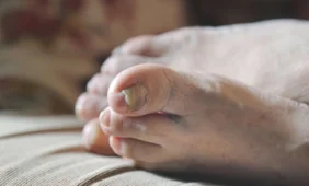 Studija: pėdos turi savo kalbą