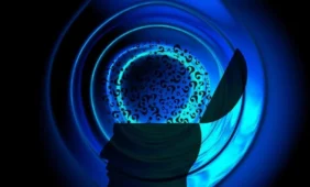 Kuri iš šių figūrų yra „Kiki”, o kuri – „Bouba”, arba kas tai yra sinestezija