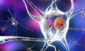 Parkinsono ligą gali įveikti neurostimuliacija