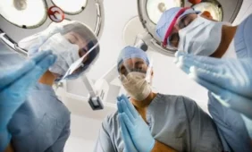 Indo vidaus organai išdėstyti atvirkščiai