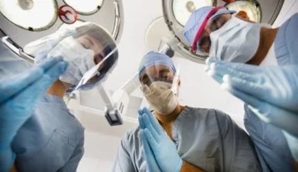 Indo vidaus organai išdėstyti atvirkščiai