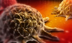 Sukurtos „ląstelės kiborgai”