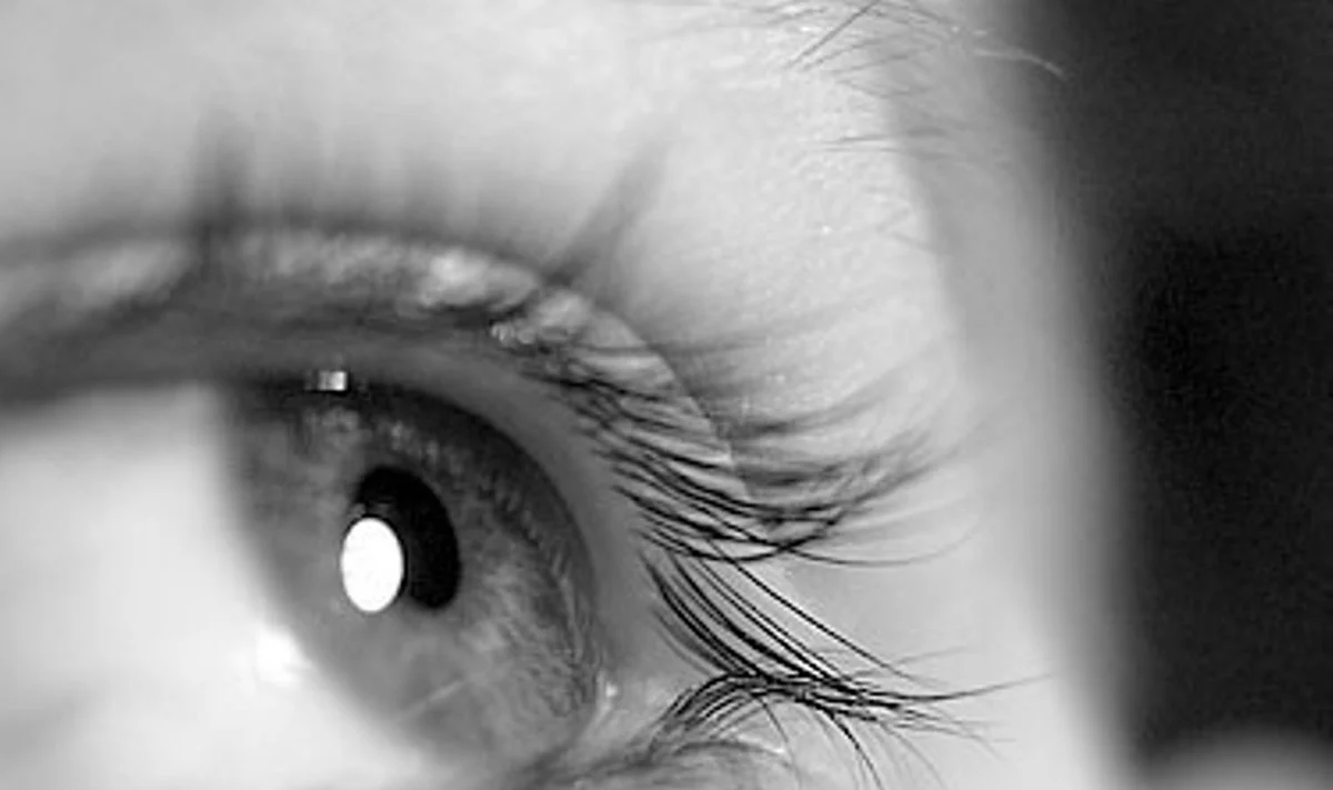 Bioninės akies bandymai – per 3 metus