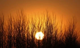 Bjaurus oras didina prostatos vėžio tikimybę