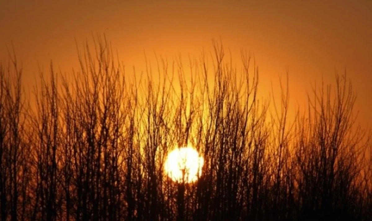 Bjaurus oras didina prostatos vėžio tikimybę