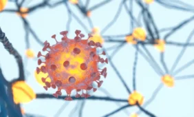 Kas atsitinka, kai „išjungiami” viruso genai?