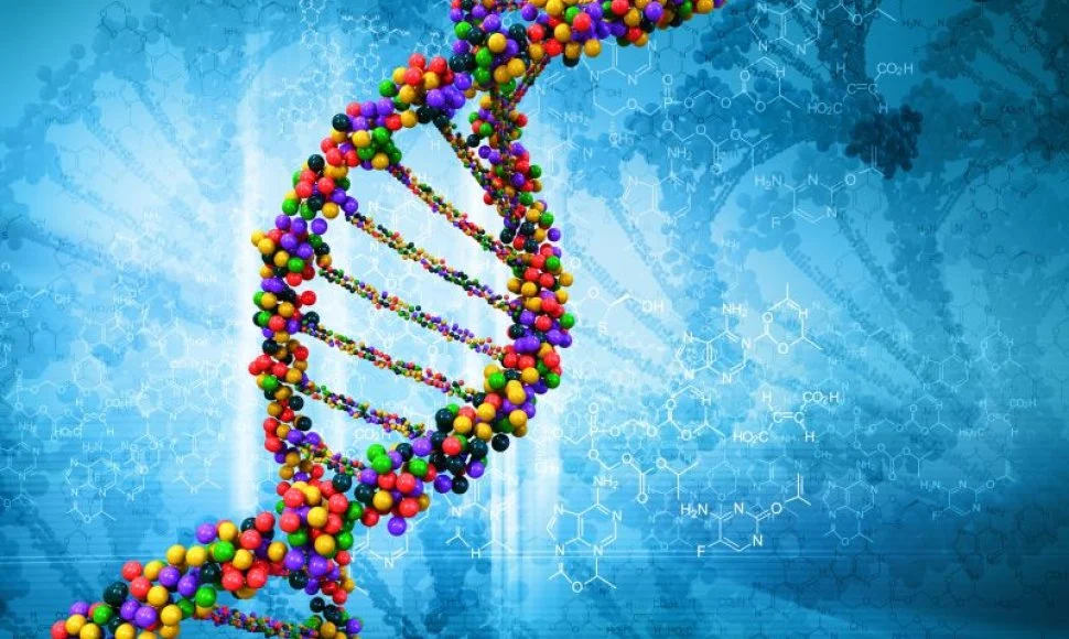 Regeneracijos gebėjimui aktyvuoti pakanka „ištrinti” vieną geną?