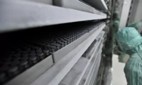 Suderinus du konkuruojančius vaistus, pasiekta šimtaprocentinė teigiama reakcija gydant vėžį