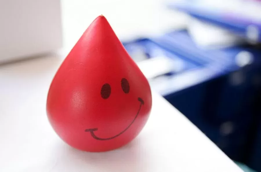 Kaulų čiulpų donorų registre – 331 nauji donorai