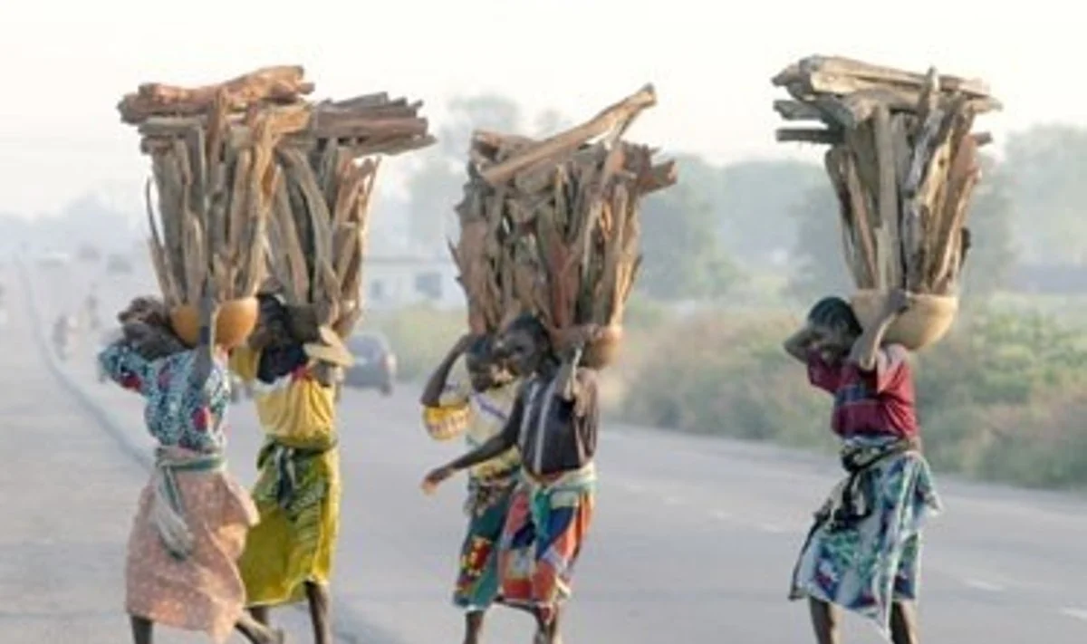Afrikoje dideliu greičiu plinta cholera