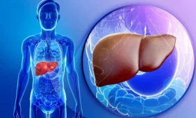 Bioinžinieriai ėmėsi kepenų