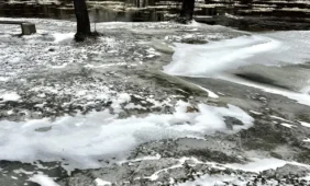 Kas įspėja apie gresiantį pavojų?