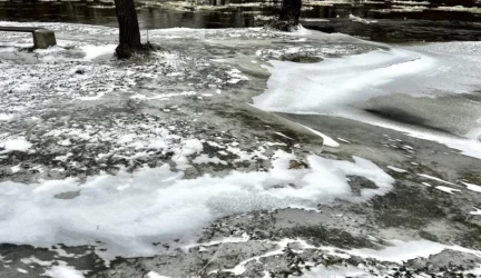 Kas įspėja apie gresiantį pavojų?