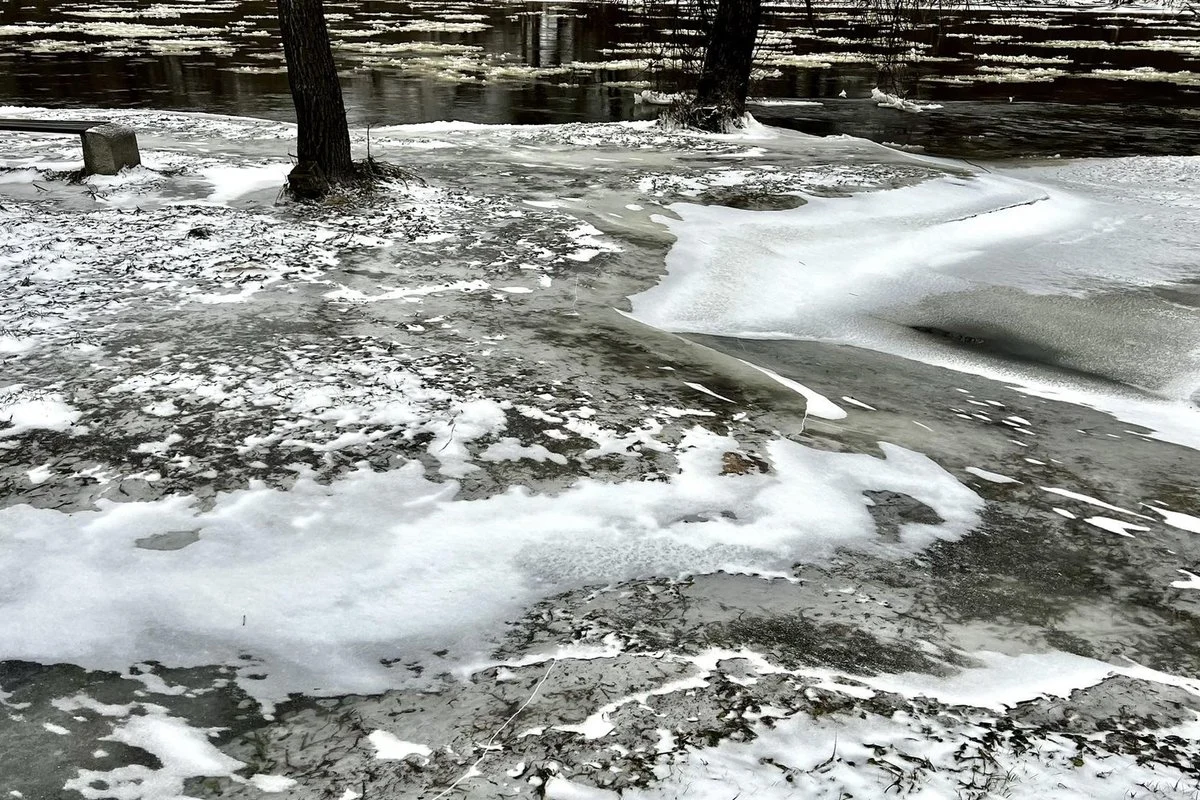 Kas įspėja apie gresiantį pavojų?