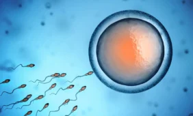 Kiaušialąstės ir embrionai bus žymimi brūkšniniu kodu