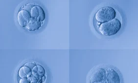 Mokslininkams pavyko tiesiogiai transformuoti odos ląsteles į kraujo ląsteles