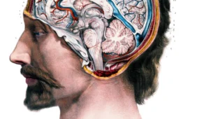 Smegenų skenavimas parodė, kad naujagimiai moka svajoti