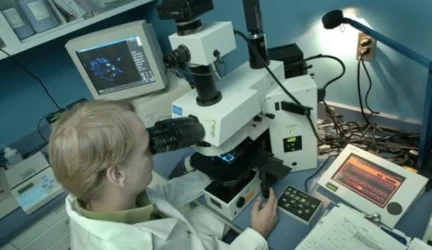 Virtuali biopsija padės diagnozuoti sportininkų smegenų pažeidimus