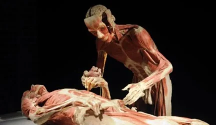 „Daktaras Mirtis” parodoje demonstruos ir savo kūną