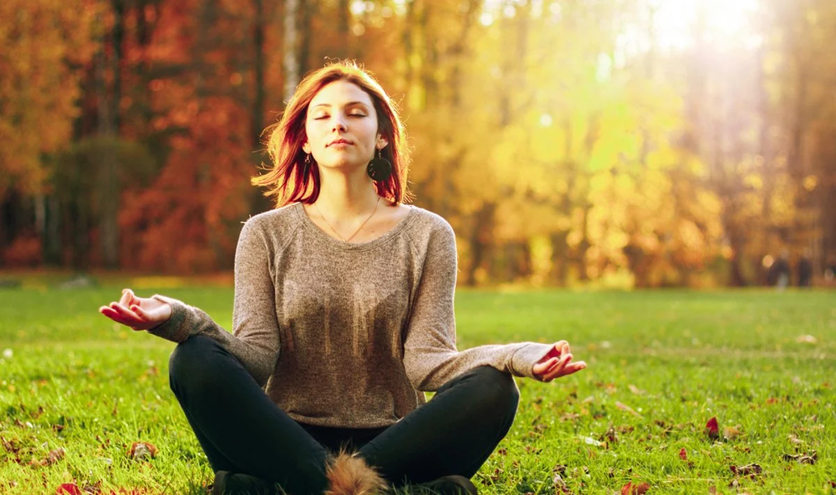 Meditacija didina galvos smegenų pilkosios medžiagos tankį?