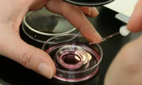 Sperma iš mėgintuvėlio tapo realybe