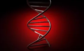 Bus atliekami moksliniai tyrimai vėžiui gydyti