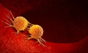 Evoliucinės vėžio priežastys. Antra dalis: kaip vėžinės ląstelės veikia viso organizmo evoliuciją?