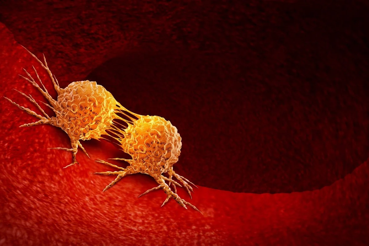 Evoliucinės vėžio priežastys. Antra dalis: kaip vėžinės ląstelės veikia viso organizmo evoliuciją?