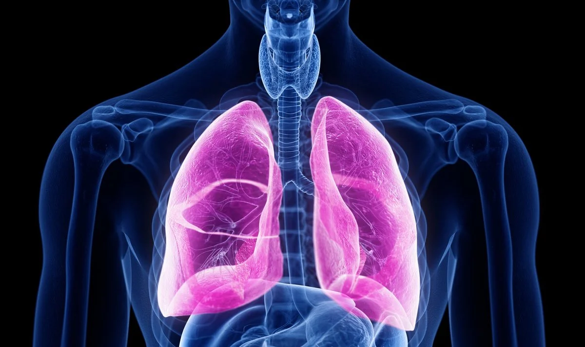 12 būdų kaip išsaugoti plaučius sveikus ir stiprius
