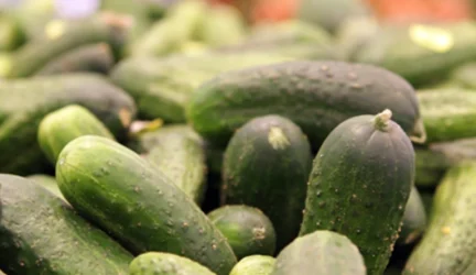 Pavojingos infekcijos priežastis – agurkai iš Ispanijos