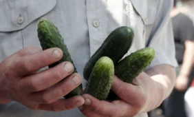 Bakterinių žarnyno infekcijų protrūkis nusinešė 31-ąją gyvybę