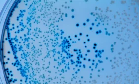 ES ministrai tarsis dėl bakterinių žarnyno infekcijų protrūkio