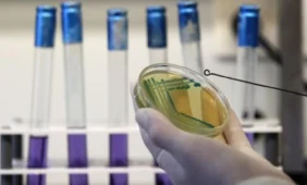 Nuo E.coli infekcijų jau mirė mažiausiai 29 žmonės