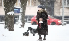 Ekspertas: sveiko gyvenimo trukmė Lietuvoje – 51,2 m.