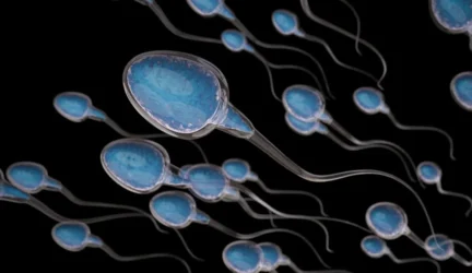 Spermatozoidus užaugino mėgintuvėlyje