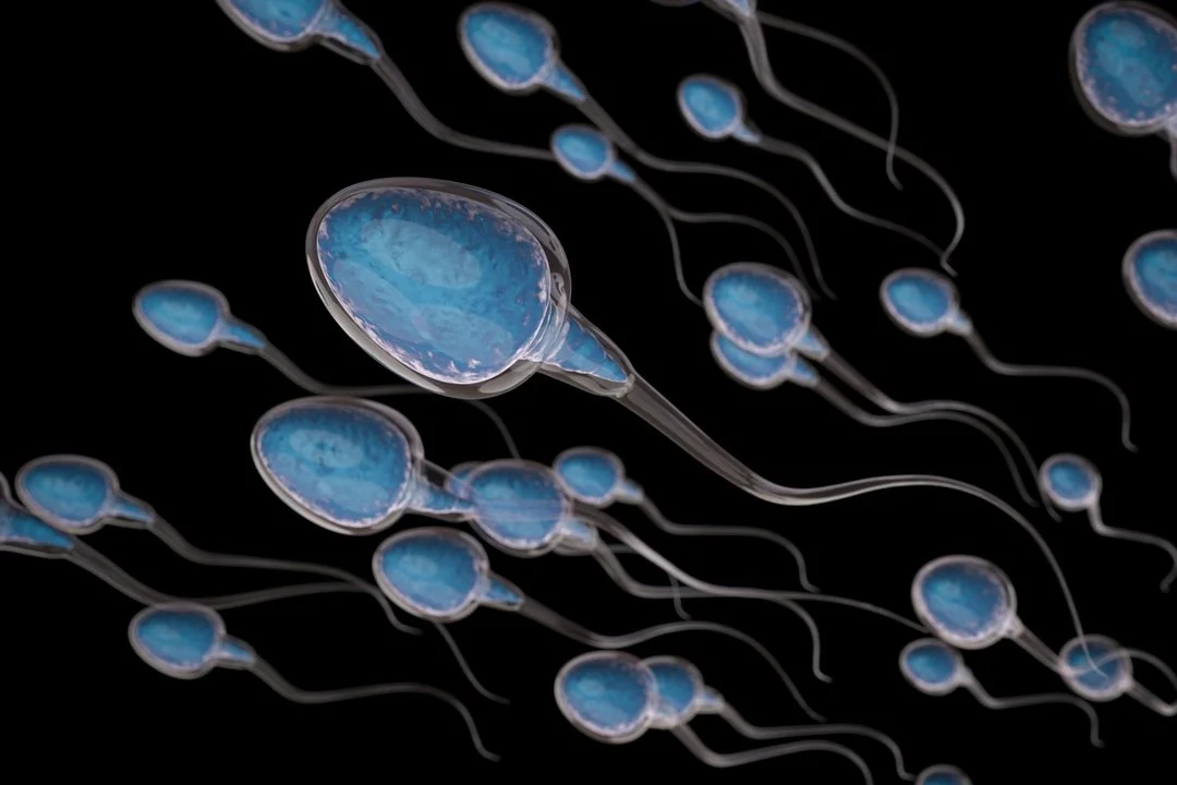 Spermatozoidus užaugino mėgintuvėlyje