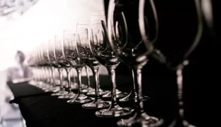 Nominacijos: Seimui už vikrumą nugirdant šalį, Prezidentei – už girdytojų palaiminimą