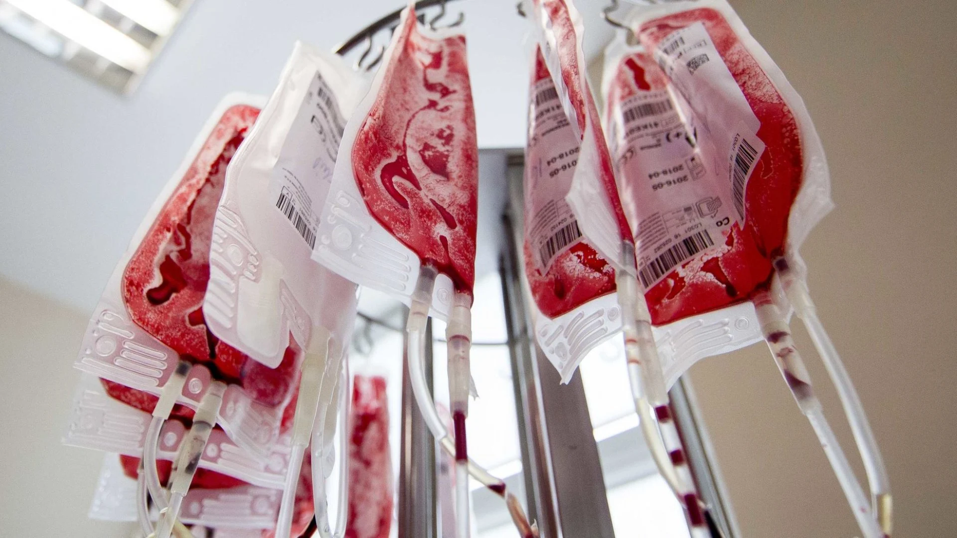Atlygintinų kraujo donorų vis dar daugiau nei aukojančių be atlygio