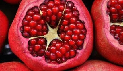 Neleista importuoti nesaugių granatų vaisių siuntos