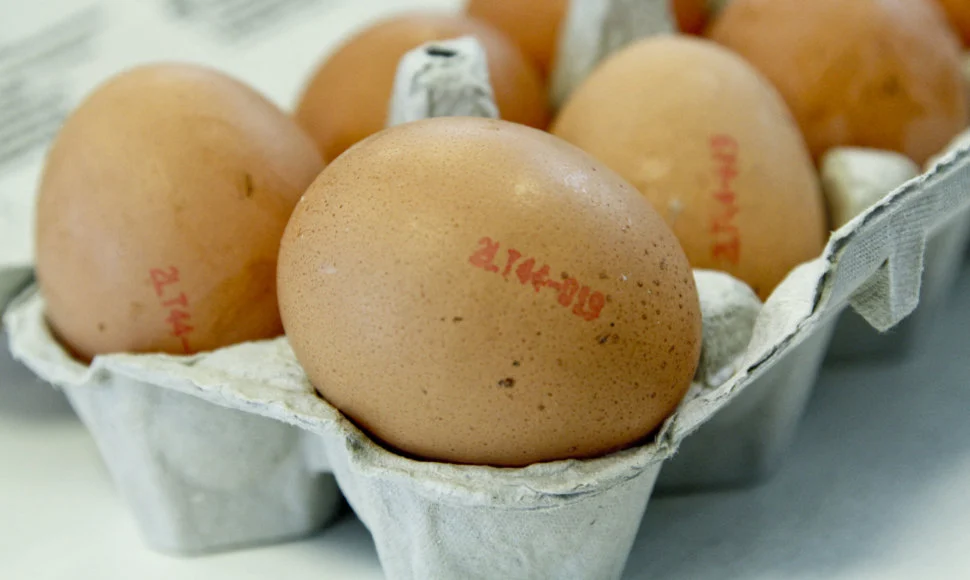 Kaip išsirinkti maistingiausius kiaušinius