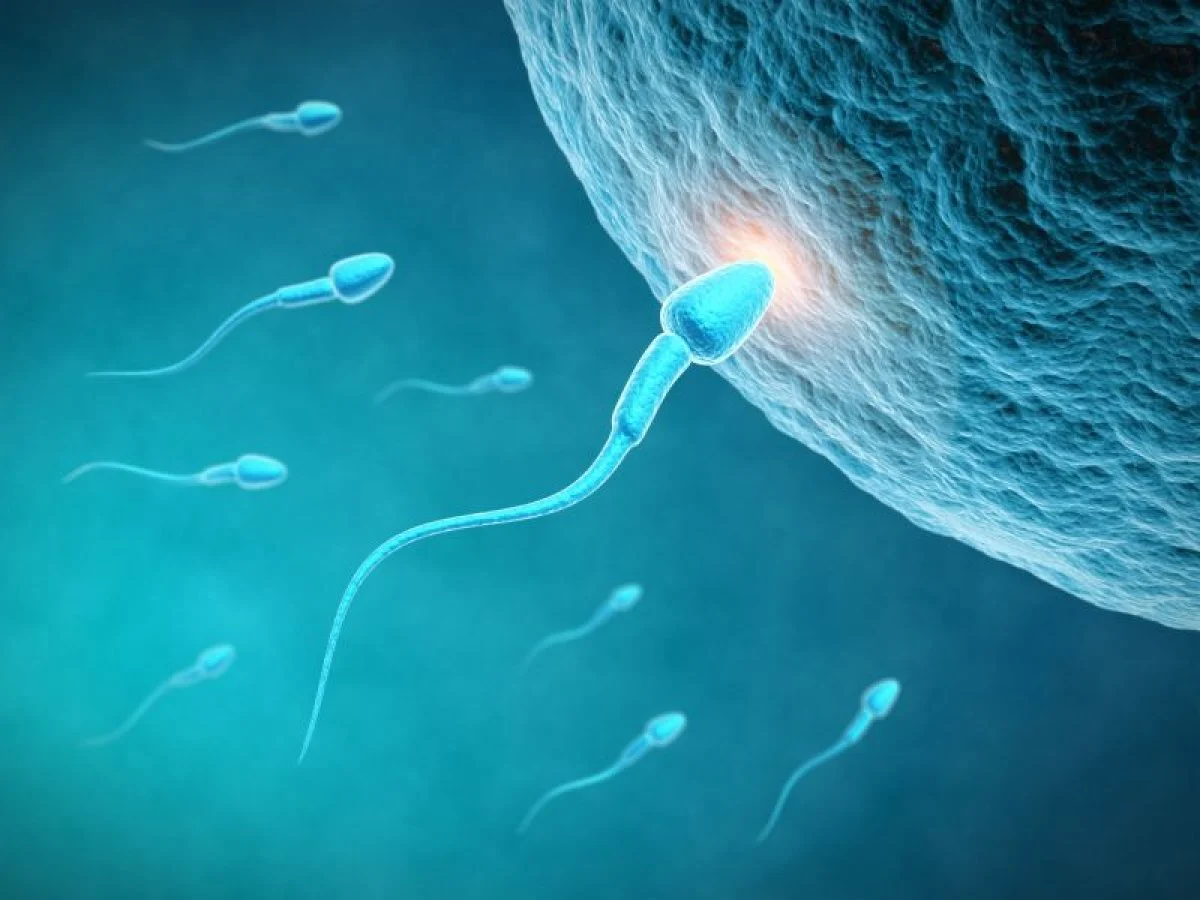 Seimo SRK narė V. M. Čigriejienė apie pagalbinį apvaisinimą: kadaise ir organą persodinti buvo nuodėmė