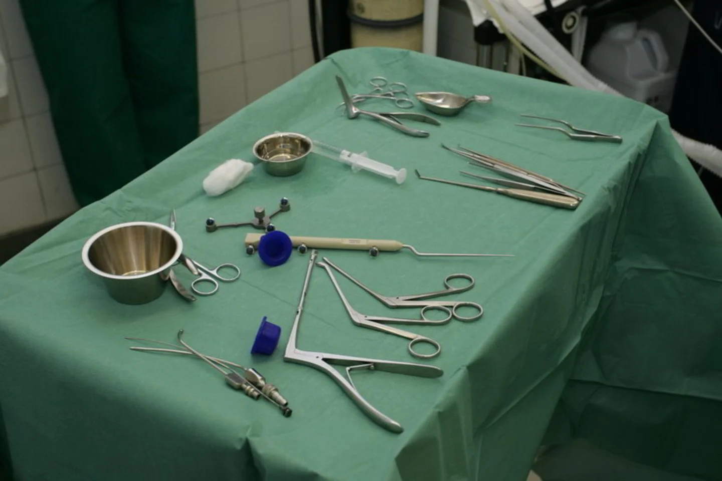 Vyriausybė siūlo nepritarti abortų draudimui