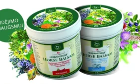 Herbamedicus balzamai – judėjimo džiaugsmui